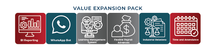 Basket 01 e1737032851977